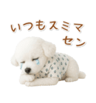 ネガティブな癒しトイプードル白（個別スタンプ：27）