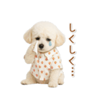ネガティブな癒しトイプードル白（個別スタンプ：28）