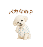 ネガティブな癒しトイプードル白（個別スタンプ：29）