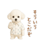 ネガティブな癒しトイプードル白（個別スタンプ：30）