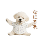 ネガティブな癒しトイプードル白（個別スタンプ：35）