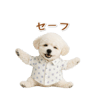 ネガティブな癒しトイプードル白（個別スタンプ：36）
