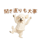 ネガティブな癒しトイプードル白（個別スタンプ：40）