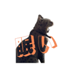 犬猫待ち合わせ3（個別スタンプ：6）