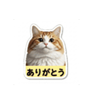 うしaaa（個別スタンプ：4）