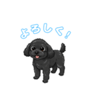 トイプードル（ブラック）の生活（個別スタンプ：1）
