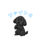 トイプードル（ブラック）の生活（個別スタンプ：2）