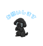 トイプードル（ブラック）の生活（個別スタンプ：3）
