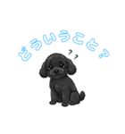 トイプードル（ブラック）の生活（個別スタンプ：5）