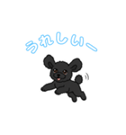 トイプードル（ブラック）の生活（個別スタンプ：7）