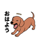 名前入りダックススムースレッド（個別スタンプ：2）