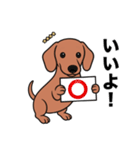 名前入りダックススムースレッド（個別スタンプ：5）