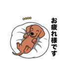 名前入りダックススムースレッド（個別スタンプ：8）