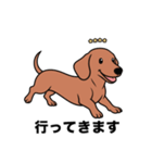 名前入りダックススムースレッド（個別スタンプ：11）
