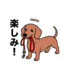 名前入りダックススムースレッド（個別スタンプ：12）
