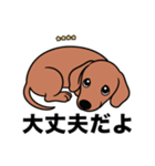 名前入りダックススムースレッド（個別スタンプ：15）