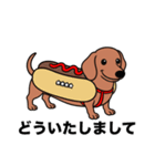 名前入りダックススムースレッド（個別スタンプ：18）