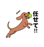 名前入りダックススムースレッド（個別スタンプ：20）