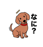 名前入りダックススムースレッド（個別スタンプ：21）