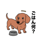 名前入りダックススムースレッド（個別スタンプ：22）
