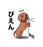 名前入りダックススムースレッド（個別スタンプ：23）