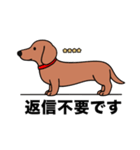 名前入りダックススムースレッド（個別スタンプ：24）