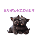 [ありがとう専用]スコティッシュテリアベビ（個別スタンプ：2）
