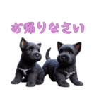 [お帰り専用]スコティッシュテリアベビー（個別スタンプ：3）