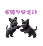 [お帰り専用]スコティッシュテリアベビー（個別スタンプ：13）