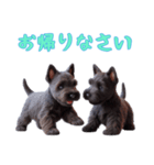 [お帰り専用]スコティッシュテリアベビー（個別スタンプ：16）