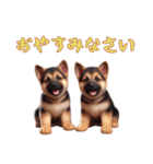 [おやすみなさい専用]ジャーマンシェパード（個別スタンプ：5）