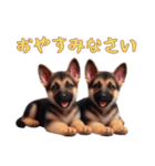 [おやすみなさい専用]ジャーマンシェパード（個別スタンプ：11）