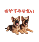 [おやすみなさい専用]ジャーマンシェパード（個別スタンプ：12）