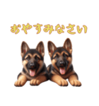 [おやすみなさい専用]ジャーマンシェパード（個別スタンプ：13）