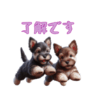 [了解です専用]スコティッシュテリアベビー（個別スタンプ：12）