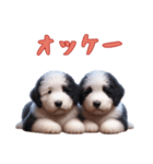 [オッケー専用]イングリッシュシープドッグ（個別スタンプ：1）