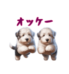 [オッケー専用]イングリッシュシープドッグ（個別スタンプ：8）