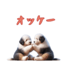 [オッケー専用]イングリッシュシープドッグ（個別スタンプ：11）