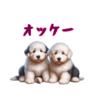 [オッケー専用]イングリッシュシープドッグ（個別スタンプ：12）