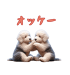 [オッケー専用]イングリッシュシープドッグ（個別スタンプ：13）