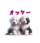 [オッケー専用]イングリッシュシープドッグ（個別スタンプ：14）