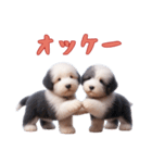 [オッケー専用]イングリッシュシープドッグ（個別スタンプ：15）