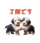 [了解です専用]イングリッシュシープドッグ（個別スタンプ：2）