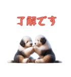 [了解です専用]イングリッシュシープドッグ（個別スタンプ：3）