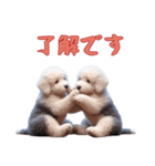 [了解です専用]イングリッシュシープドッグ（個別スタンプ：6）