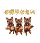 [お帰りなさい専用]ジャーマンシェパード（個別スタンプ：1）