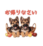 [お帰りなさい専用]ジャーマンシェパード（個別スタンプ：2）