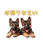 [お帰りなさい専用]ジャーマンシェパード（個別スタンプ：7）