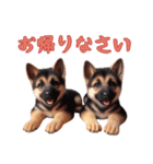 [お帰りなさい専用]ジャーマンシェパード（個別スタンプ：8）
