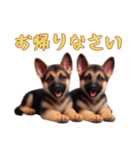 [お帰りなさい専用]ジャーマンシェパード（個別スタンプ：11）